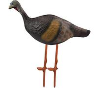 Tiro con l'arco, supporto per bersaglio 3D, modello animale, per esterni, solido, simulazione, pratica tiro con l'arco, bersaglio per tiro con l'arco e freccia (femmina di tacchino)