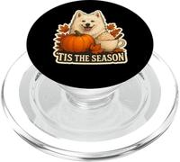Tis The Season American Eskimo Dog Autunno Autunno Zucca Spice PopSockets PopGrip per MagSafe