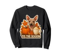 Tis The Season American Hairless Terrier Dog Autunno Coppa Autunno Felpa