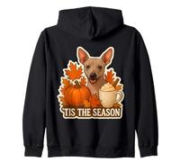 Tis The Season American Hairless Terrier Dog Autunno Coppa Autunno Felpa con Cappuccio