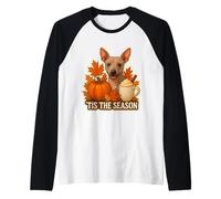 Tis The Season American Hairless Terrier Dog Autunno Coppa Autunno Maglia con Maniche Raglan
