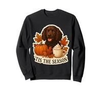 Tis The Season American Water Spaniel Cane Autunno Autunno caffè Felpa