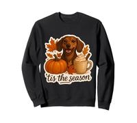 Tis The Season Bassotto Cane Autunno Autunno Zucca Spice Latte Felpa