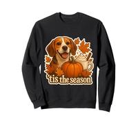Tis The Season Beagle Dog Autunno Autunno Zucca Spice Coffee Felpa