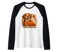 Tis The Season Beagle Dog Autunno Autunno Zucca Spice Coffee Maglia con Maniche Raglan