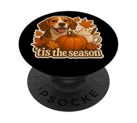 Tis The Season Beagle Dog Autunno Autunno Zucca Spice Coffee PopSockets PopGrip Adesivo