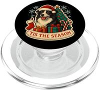 Tis The Season Border Collie Cane Natale mamma papà proprietario divertimento PopSockets PopGrip per MagSafe