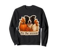 Tis The Season Border Collie Dog Autunno Autunno Zucca Spice Felpa