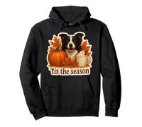 Tis The Season Border Collie Dog Autunno Autunno Zucca Spice Felpa con Cappuccio