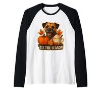 Tis The Season Border Terrier Cane Autunno Autunno Zucca Spice Maglia con Maniche Raglan