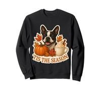 Tis The Season Boston Terrier Dog Autunno Autunno Zucca Spice Felpa
