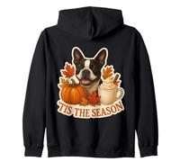 Tis The Season Boston Terrier Dog Autunno Autunno Zucca Spice Felpa con Cappuccio