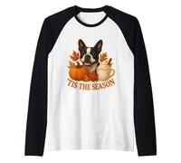 Tis The Season Boston Terrier Dog Autunno Autunno Zucca Spice Maglia con Maniche Raglan