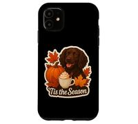 Tis The Season Boykin Spaniel Dog Autunno Autunno Zucca Spice Custodia per iPhone 11