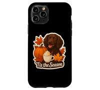 Tis The Season Boykin Spaniel Dog Autunno Autunno Zucca Spice Custodia per iPhone 11 Pro