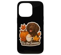 Tis The Season Boykin Spaniel Dog Autunno Autunno Zucca Spice Custodia per iPhone 13 Pro
