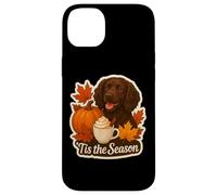 Tis The Season Boykin Spaniel Dog Autunno Autunno Zucca Spice Custodia per iPhone 14 Plus