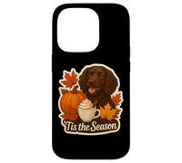 Tis The Season Boykin Spaniel Dog Autunno Autunno Zucca Spice Custodia per iPhone 14 Pro