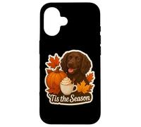 Tis The Season Boykin Spaniel Dog Autunno Autunno Zucca Spice Custodia per iPhone 16