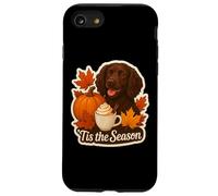 Tis The Season Boykin Spaniel Dog Autunno Autunno Zucca Spice Custodia per iPhone SE (2020) / 7/8