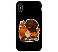 Tis The Season Boykin Spaniel Dog Autunno Autunno Zucca Spice Custodia per iPhone X/XS