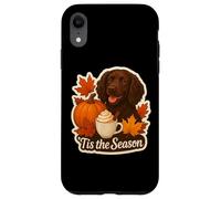 Tis The Season Boykin Spaniel Dog Autunno Autunno Zucca Spice Custodia per iPhone XR