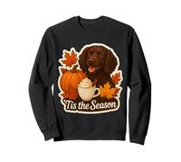 Tis The Season Boykin Spaniel Dog Autunno Autunno Zucca Spice Felpa