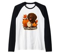 Tis The Season Boykin Spaniel Dog Autunno Autunno Zucca Spice Maglia con Maniche Raglan