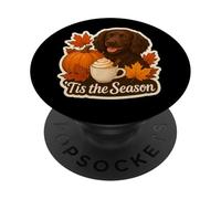 Tis The Season Boykin Spaniel Dog Autunno Autunno Zucca Spice PopSockets PopGrip Adesivo
