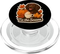Tis The Season Boykin Spaniel Dog Autunno Autunno Zucca Spice PopSockets PopGrip per MagSafe