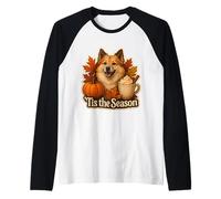 Tis The Season - Cane da Pastore Islandese, Zucca Autunnale Maglia con Maniche Raglan