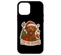 Tis The Season - Cane di Chesapeake Bay Retriever Merry Christmas Custodia per iPhone 12 mini