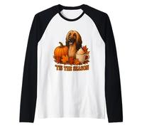 Tis The Season Cane Levriero Afgano Autunno Autunno Zucca Spice Maglia con Maniche Raglan