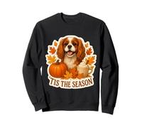 Tis The Season Cavalier King Charles Dog Autunno Zucca Autunno Felpa