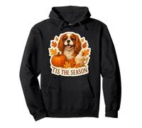 Tis The Season Cavalier King Charles Dog Autunno Zucca Autunno Felpa con Cappuccio