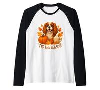 Tis The Season Cavalier King Charles Dog Autunno Zucca Autunno Maglia con Maniche Raglan