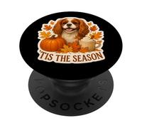 Tis The Season Cavalier King Charles Dog Autunno Zucca Autunno PopSockets PopGrip Adesivo