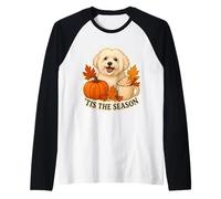 Tis The Season Coton de Tulear Cane Autunno Autunno Zucca Spice Maglia con Maniche Raglan