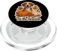 Tis The Season English Foxhound Dog Autunno Autunno Zucca Cup PopSockets PopGrip per MagSafe