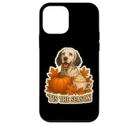 Tis The Season English Setter Dog Fall Autumn Pumpkin Spice Custodia per iPhone 12 mini