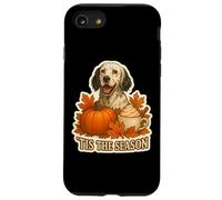 Tis The Season English Setter Dog Fall Autumn Pumpkin Spice Custodia per iPhone SE (2020) / 7/8
