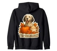 Tis The Season English Setter Dog Fall Autumn Pumpkin Spice Felpa con Cappuccio