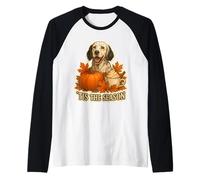 Tis The Season English Setter Dog Fall Autumn Pumpkin Spice Maglia con Maniche Raglan