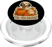 Tis The Season English Setter Dog Fall Autumn Pumpkin Spice PopSockets PopGrip per MagSafe