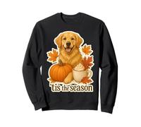 Tis The Season Golden Retriever Cane Autunno Autunno Zucca Carino Felpa