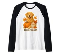 Tis The Season Golden Retriever Cane Autunno Autunno Zucca Carino Maglia con Maniche Raglan