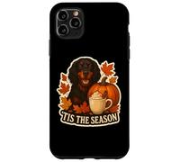 Tis The Season Gordon Setter Dog Autunno Autunno Zucca Spice Custodia per iPhone 11 Pro Max