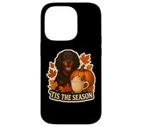 Tis The Season Gordon Setter Dog Autunno Autunno Zucca Spice Custodia per iPhone 14 Pro