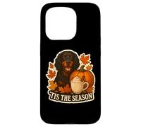 Tis The Season Gordon Setter Dog Autunno Autunno Zucca Spice Custodia per iPhone 15 Pro