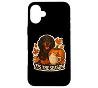 Tis The Season Gordon Setter Dog Autunno Autunno Zucca Spice Custodia per iPhone 16 Plus